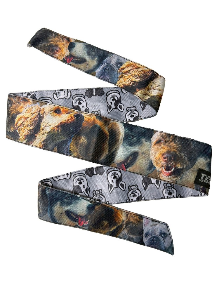 Toxic Performance Headband - Dogs