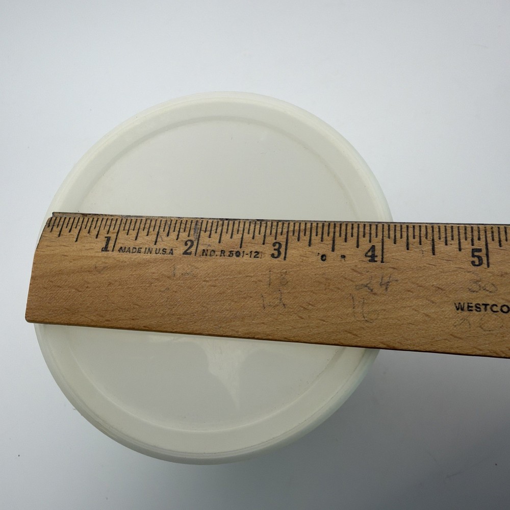 Fleischmann's Margarine Vintage Plastic Container, Pre-owned