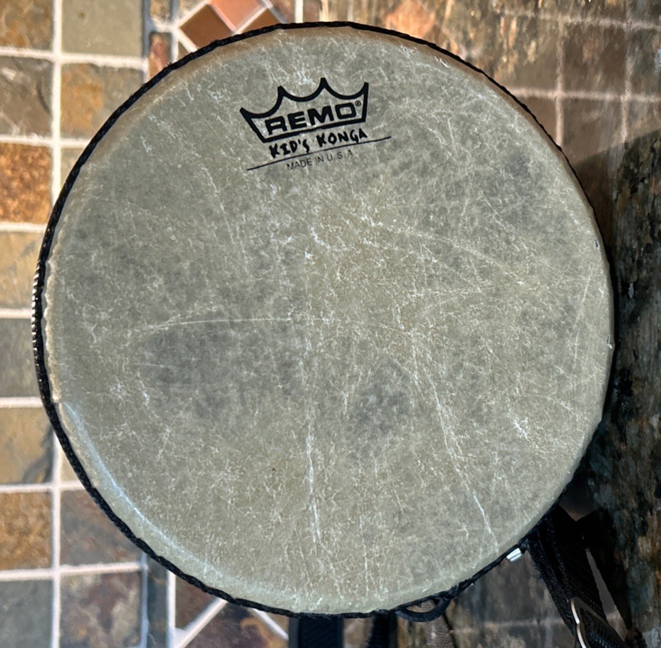 Remo Kid's Rain Forest Konga