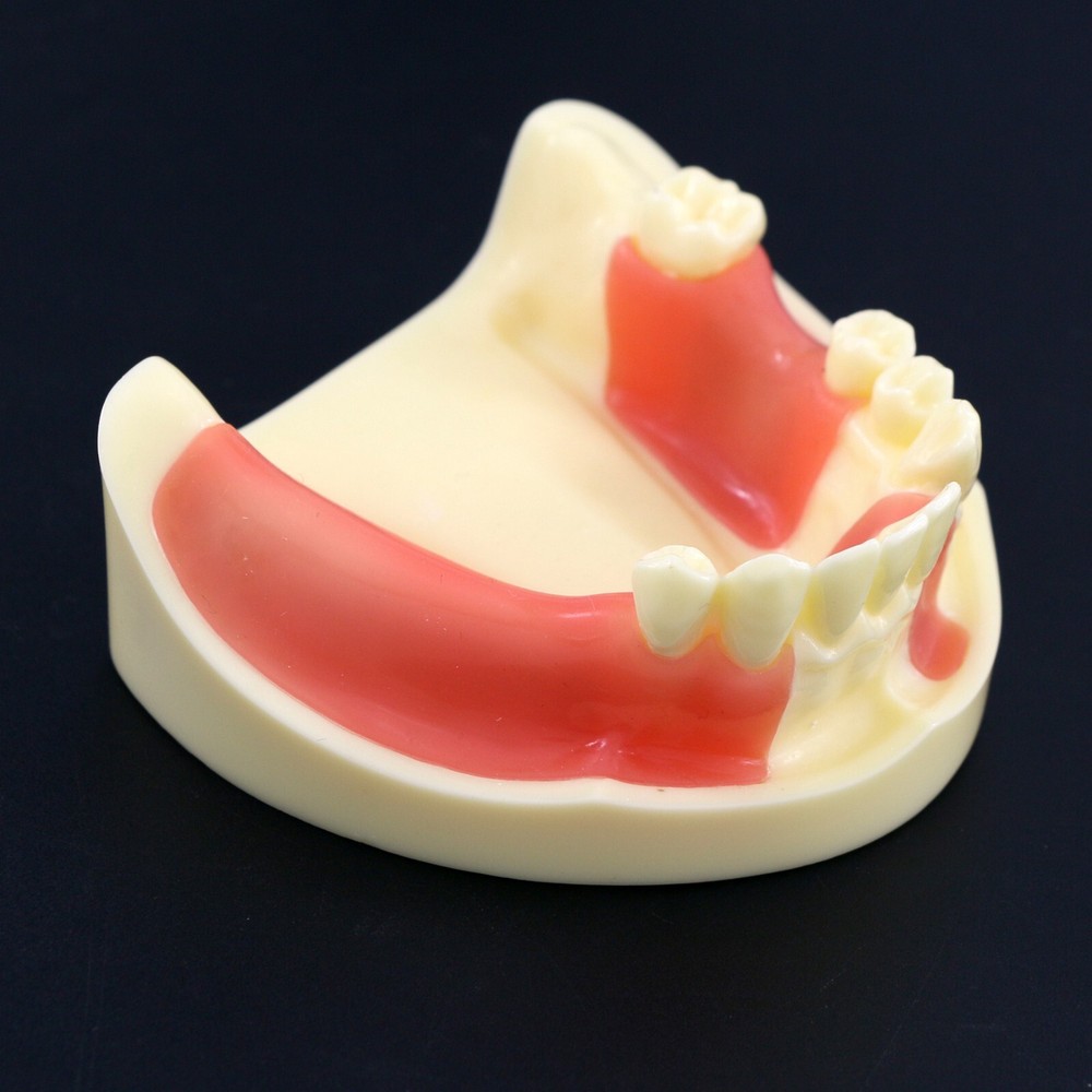 Dental Implant Practice Teeth Model Cutting Suturing Typodont M2004