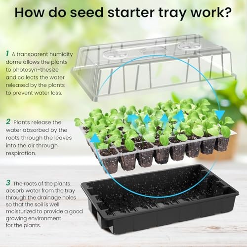 Seed Starter Tray with Lights, 2 Packs Mini 40-Cell 2-Pack With Light Black