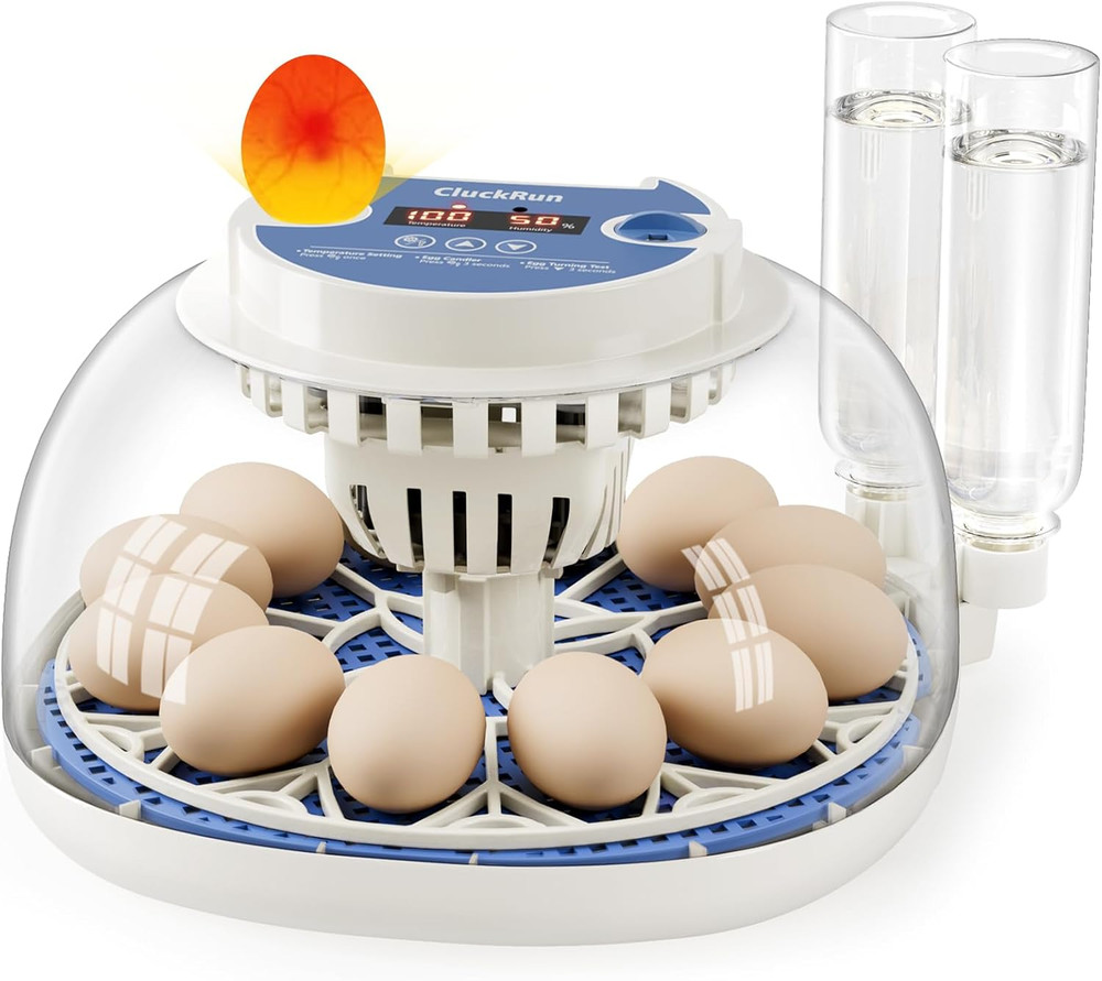 12 Egg Incubators for Hatching Eggs, Temperature and Humidity Control, Automatic