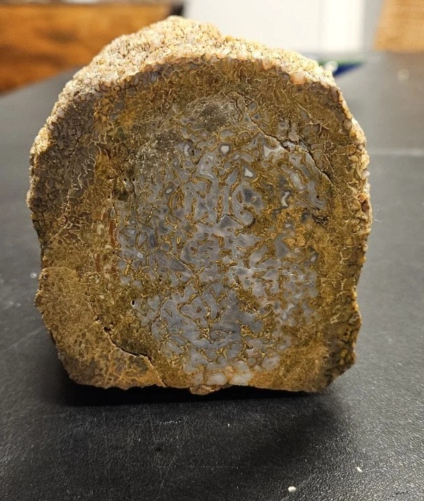Colorado Gem Bone