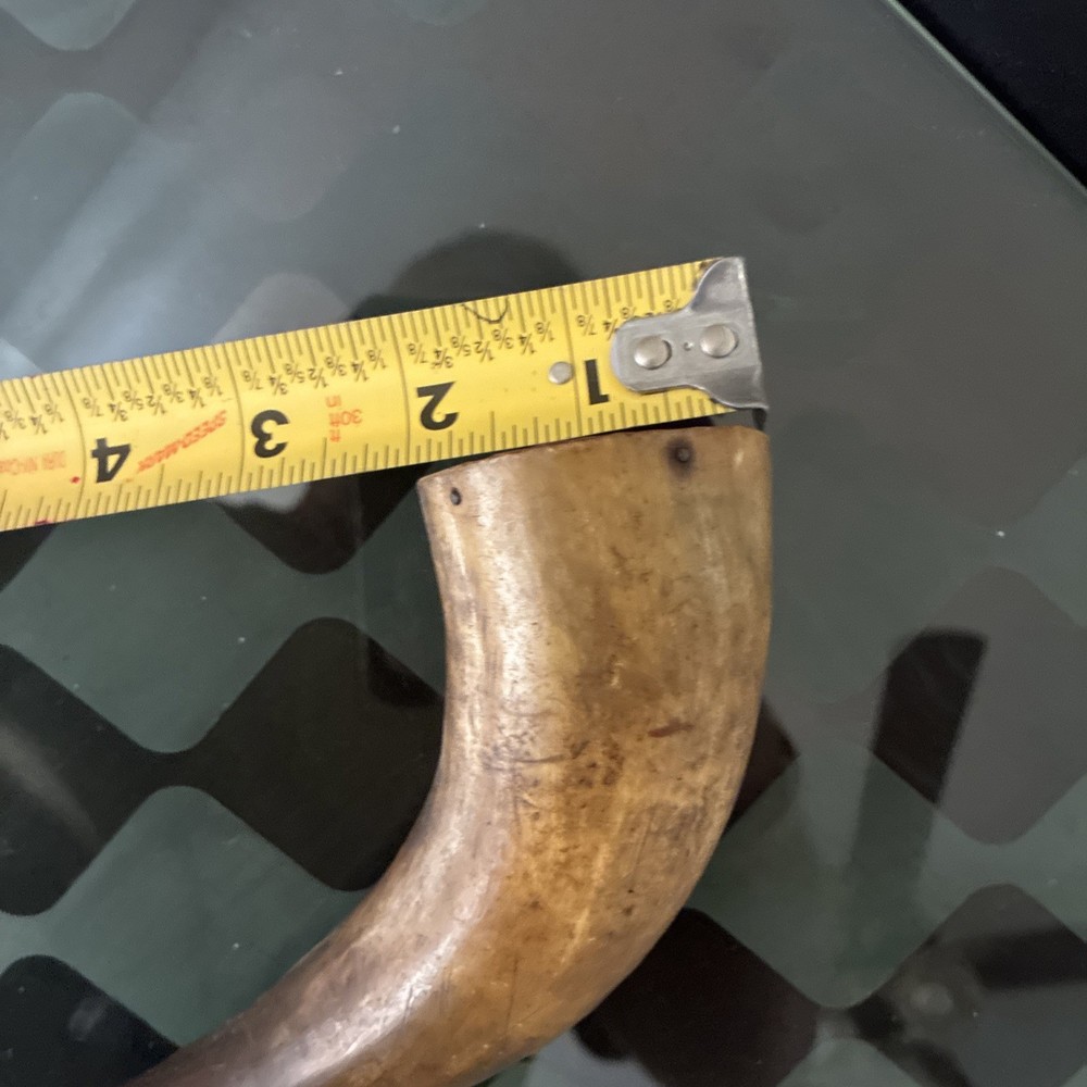 Old Black Powder Horn, Vintage