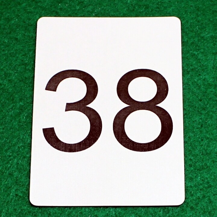 Number 38, Bicycle Printed Gaff Card, Blue