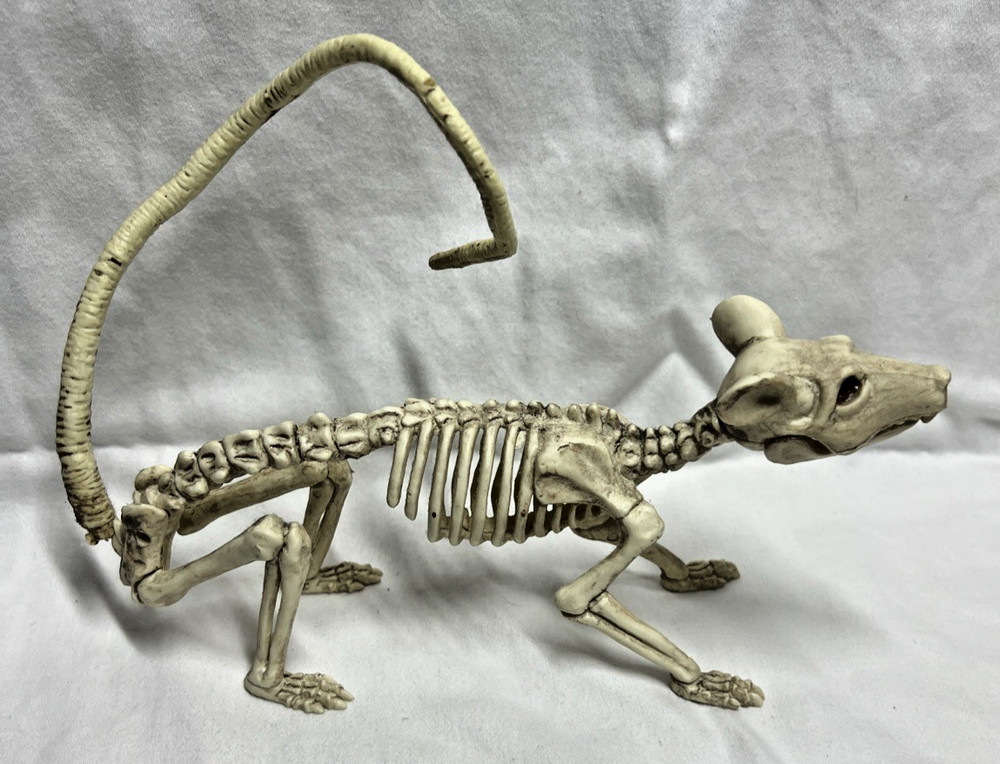 Halloween Decoration Prop Rat Skeleton Plastic Posable Tail Head Turns Jaw Opens