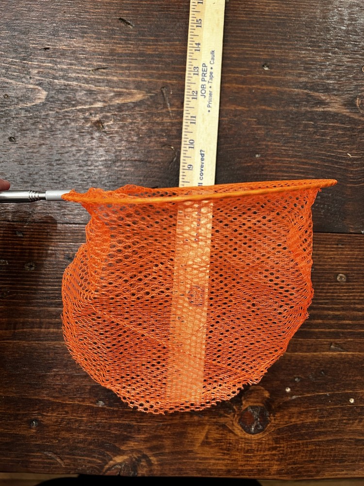 Bird Net, Free Shipping