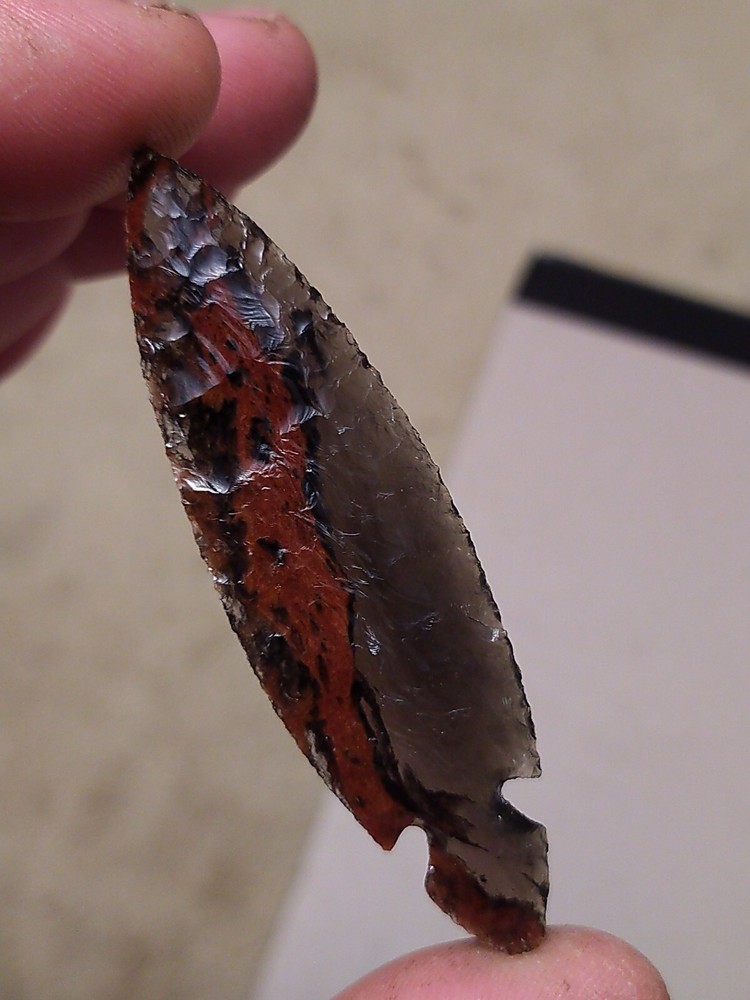 Turkey Tail 3" long by 7/8" wide