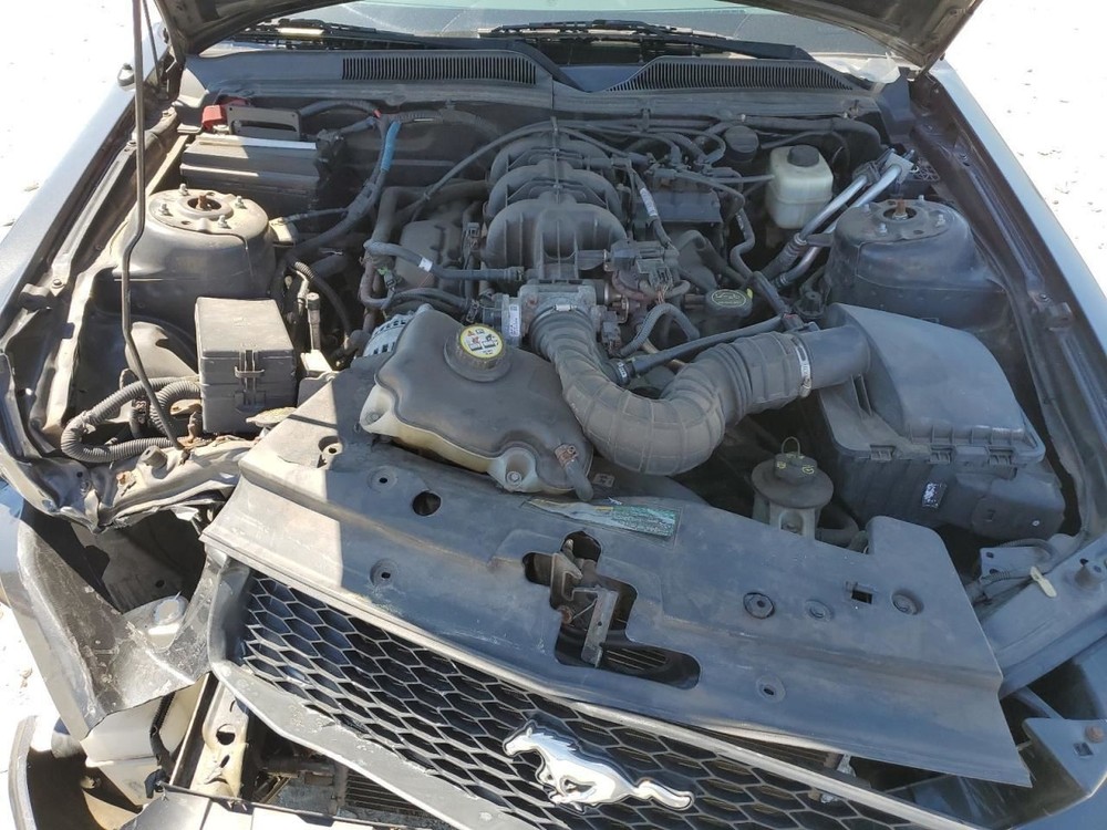 MUSTANG 2008 Glove Box 4859772