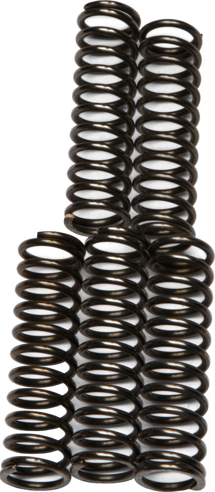 EBC CSK67 Clutch Springs CSK67