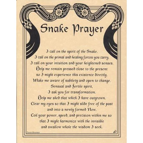 Snake Prayer poster