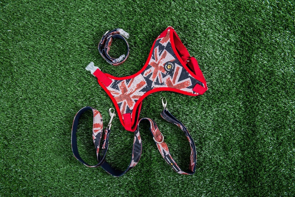 Winston Manner Designer Dog Leash in Hipster
