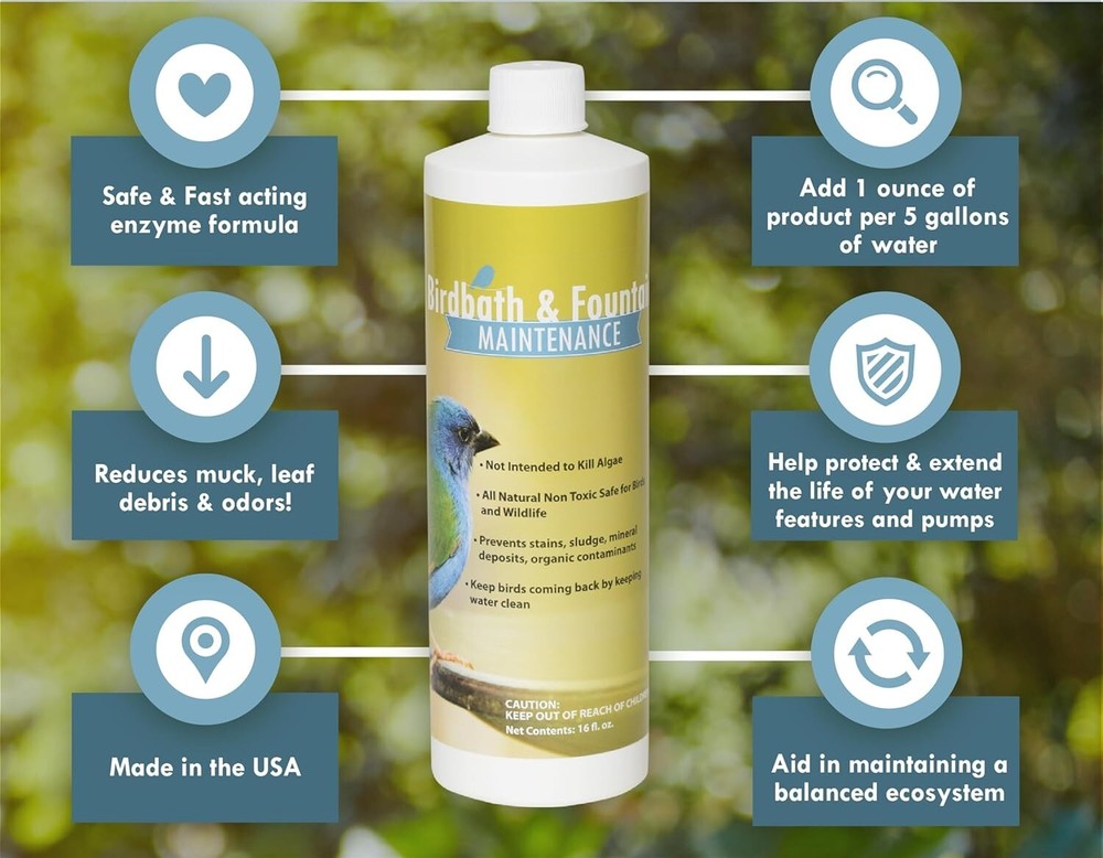 Birdbath and fountain Maintenance