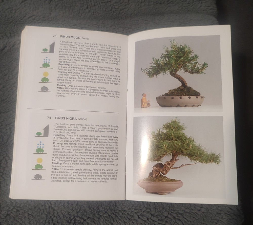 SIMON & SCHUSTER'S GUIDE TO BONSAI