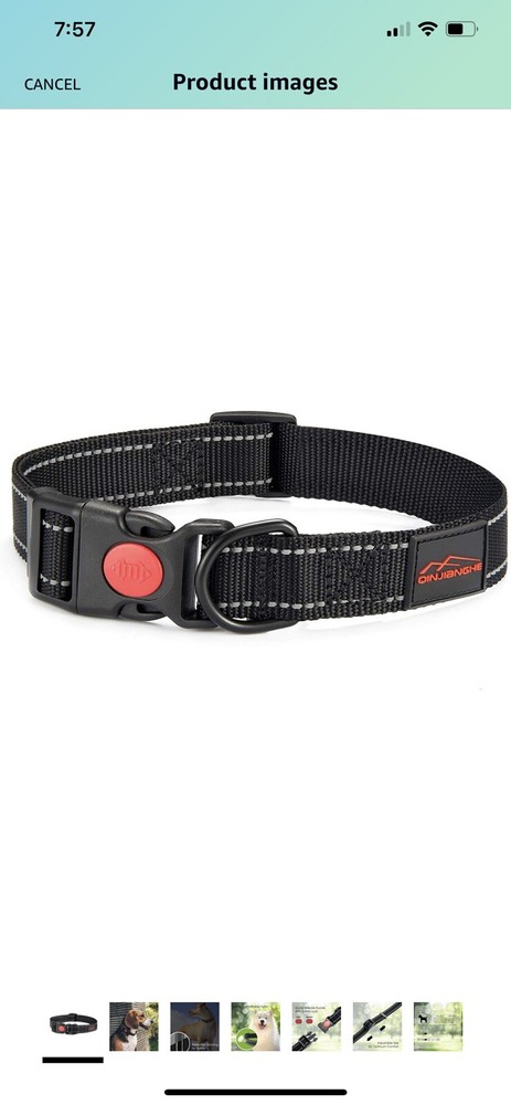 New Qinjianghe leash and collar set - Both Large