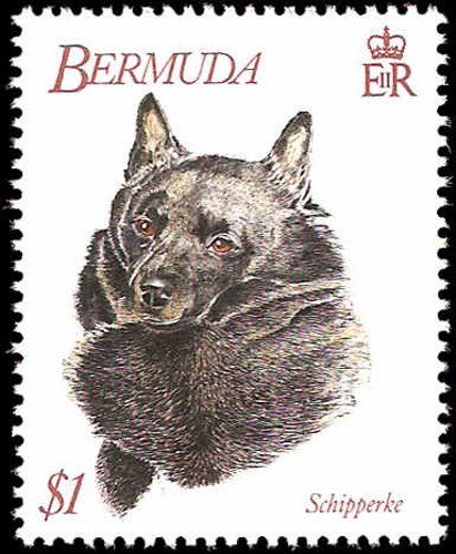 Bermuda #638-643 set MNH VF