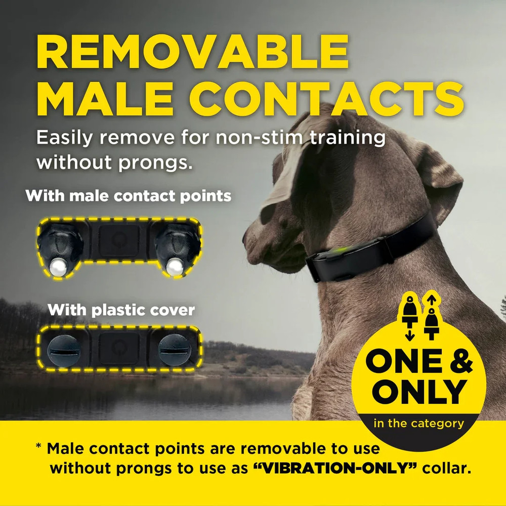Dogtra ARC -X Remote Dog Training Collar - 3/4 - Mile Range E-Collar