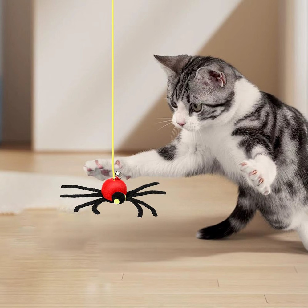 Interactive Cat Toy Door Frame Hangable Elastic String Spider Game Kitten Pet
