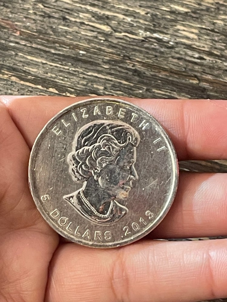 2013 Canada 5 Dollar Silver 1oz Coin