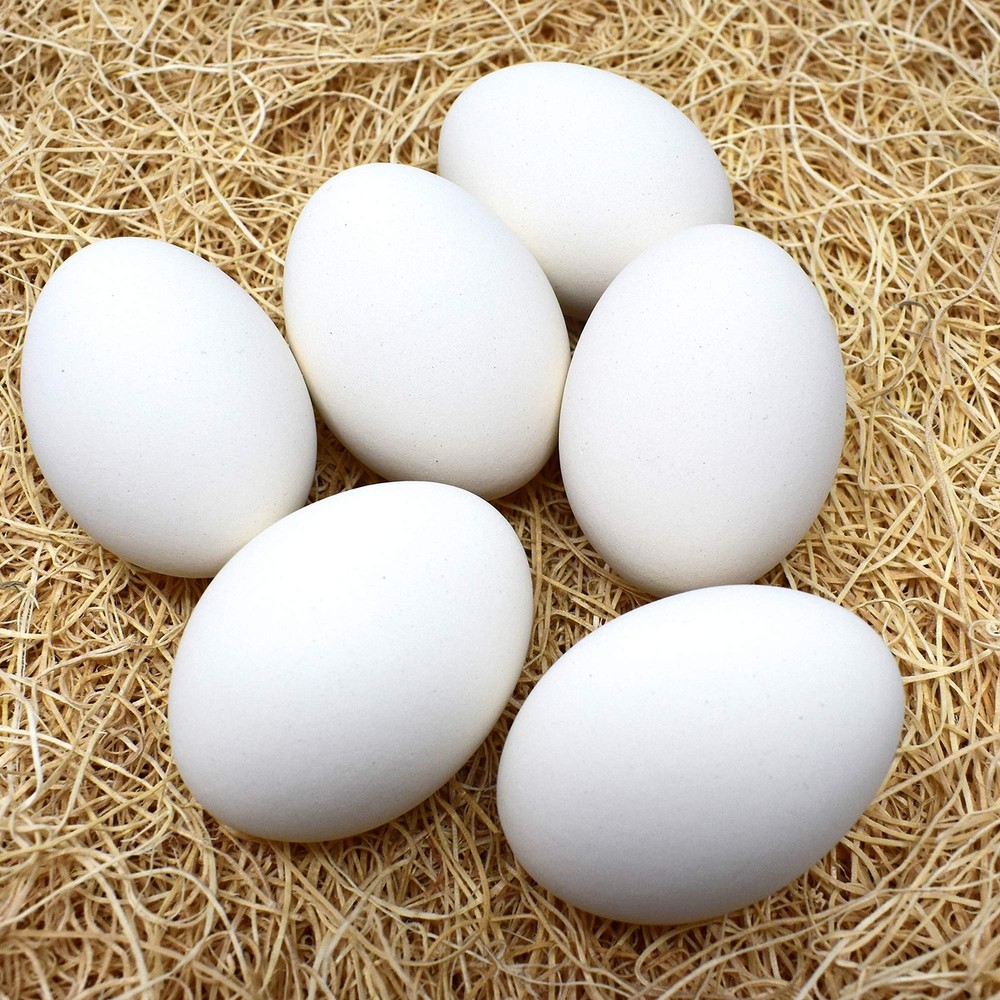 Ceramic Nest Eggs 6-Pack (White)