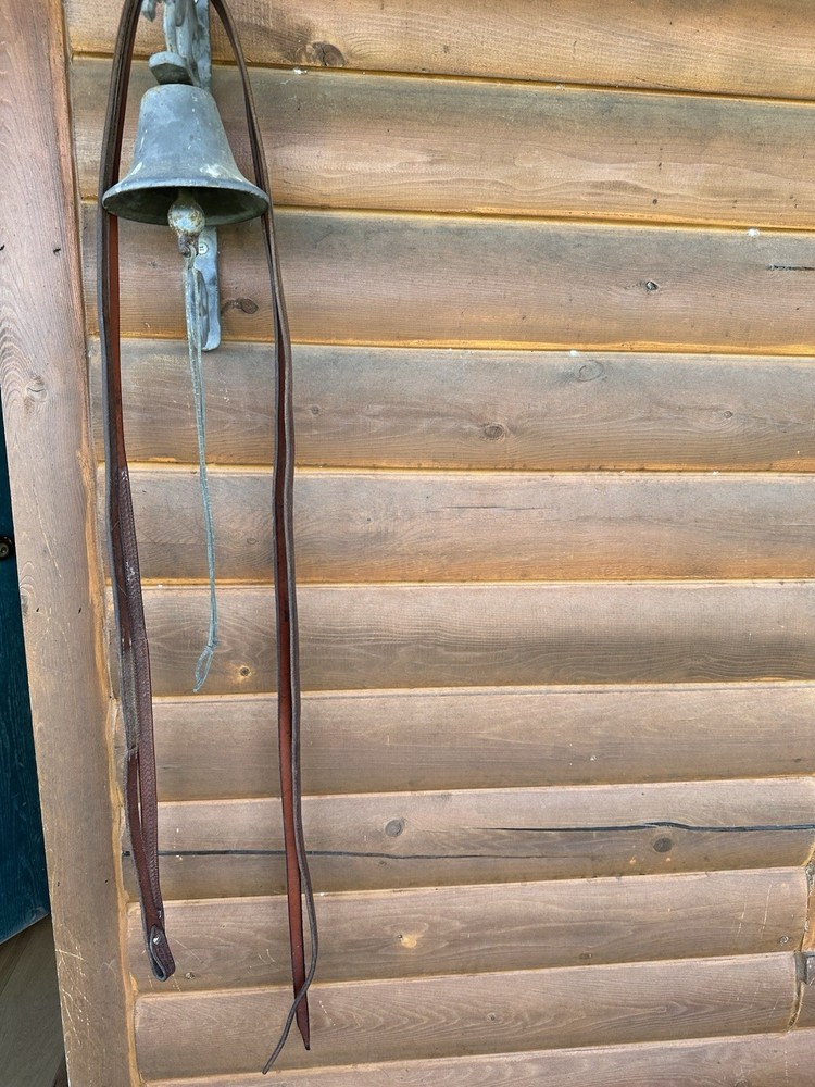 Cactus Horse Reins