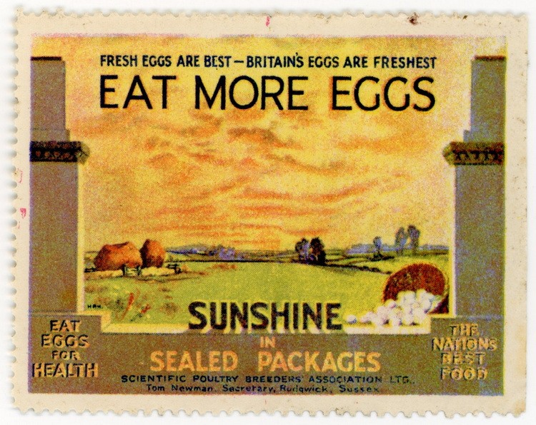 (I.B) Cinderella Collection : Eat More Eggs