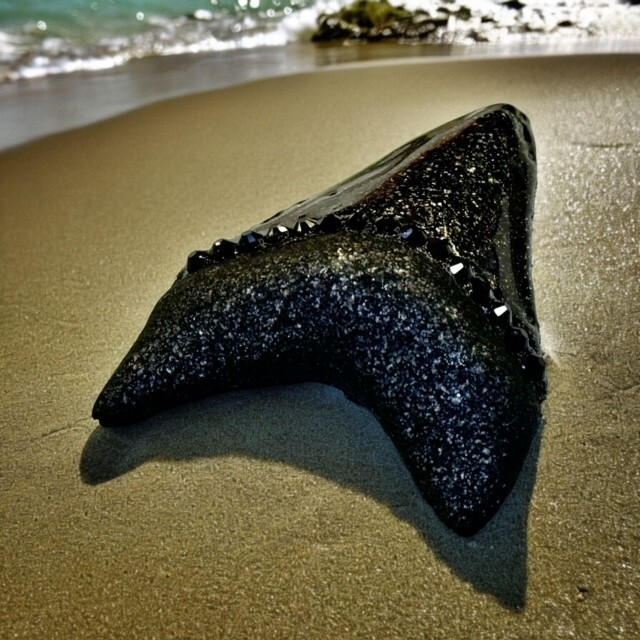 3" Authentic Shark Tooth Silicone Mold For Resin