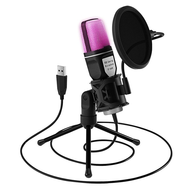 Microphone Mic Kit Broadcasting Singing Studio Recording Condenser For PC Laptop