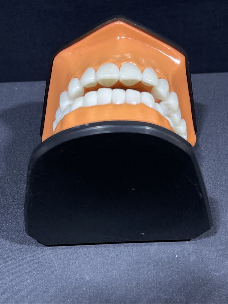 Columbia Dental Form Teeth Dentistry