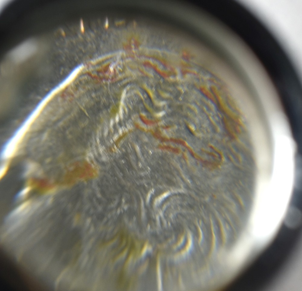 2003 P Hellen Keller Commemorative State Quarter Alabama Error