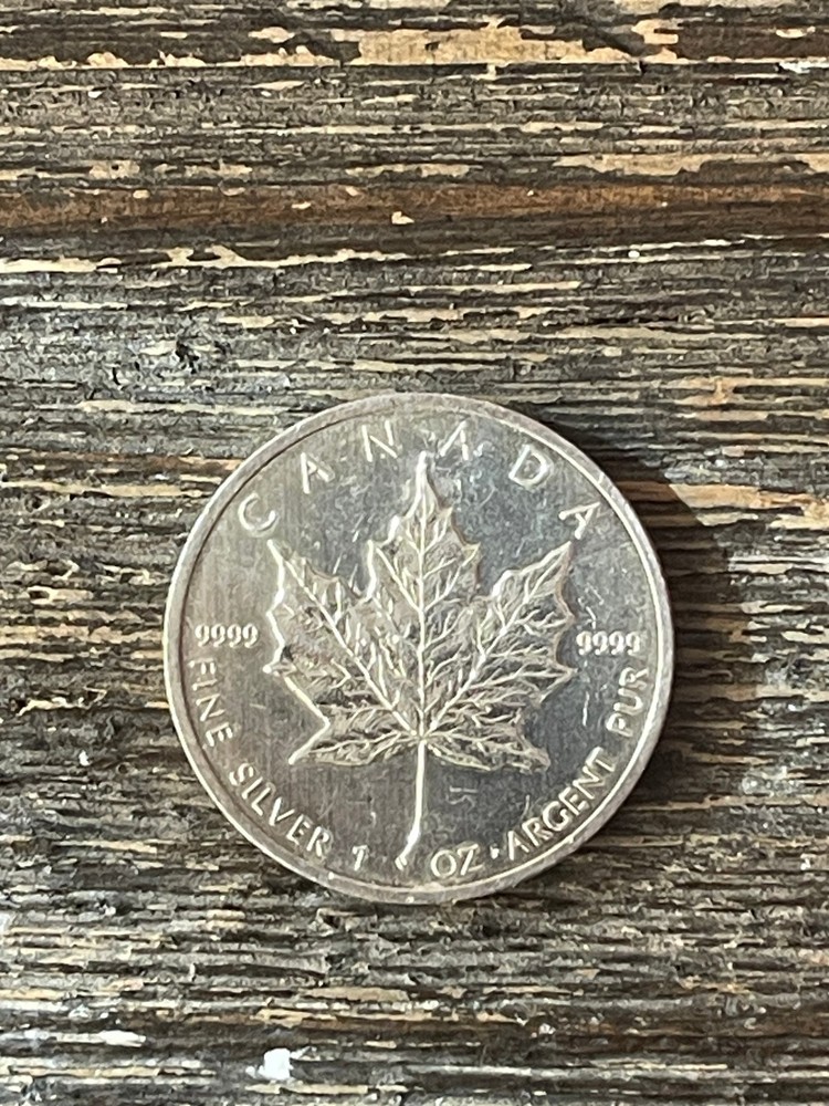 2013 Canada 5 Dollar Silver 1oz Coin