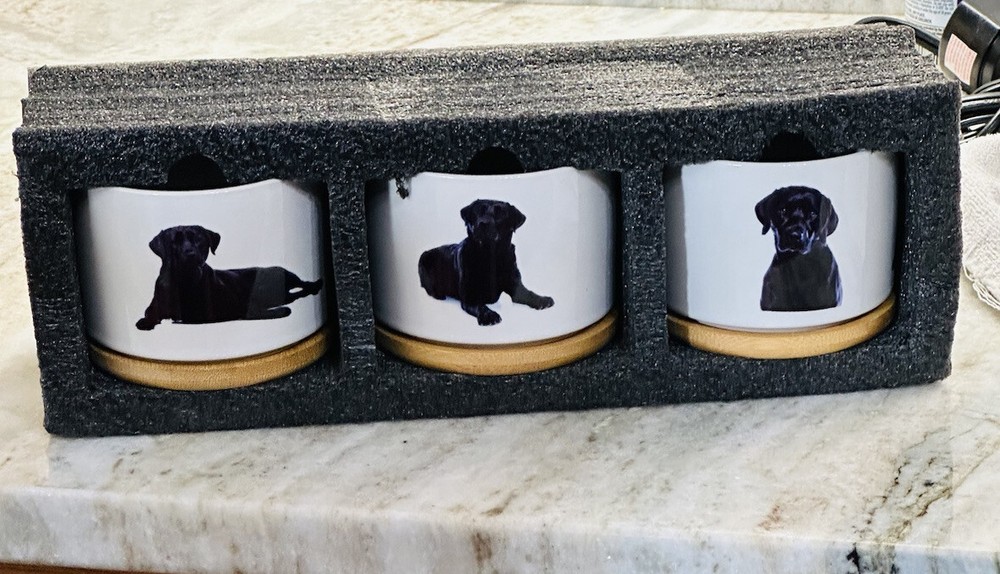 Set Of Tree Labrador Planters-Open Box-ceramic-Open Box/No Original Box
