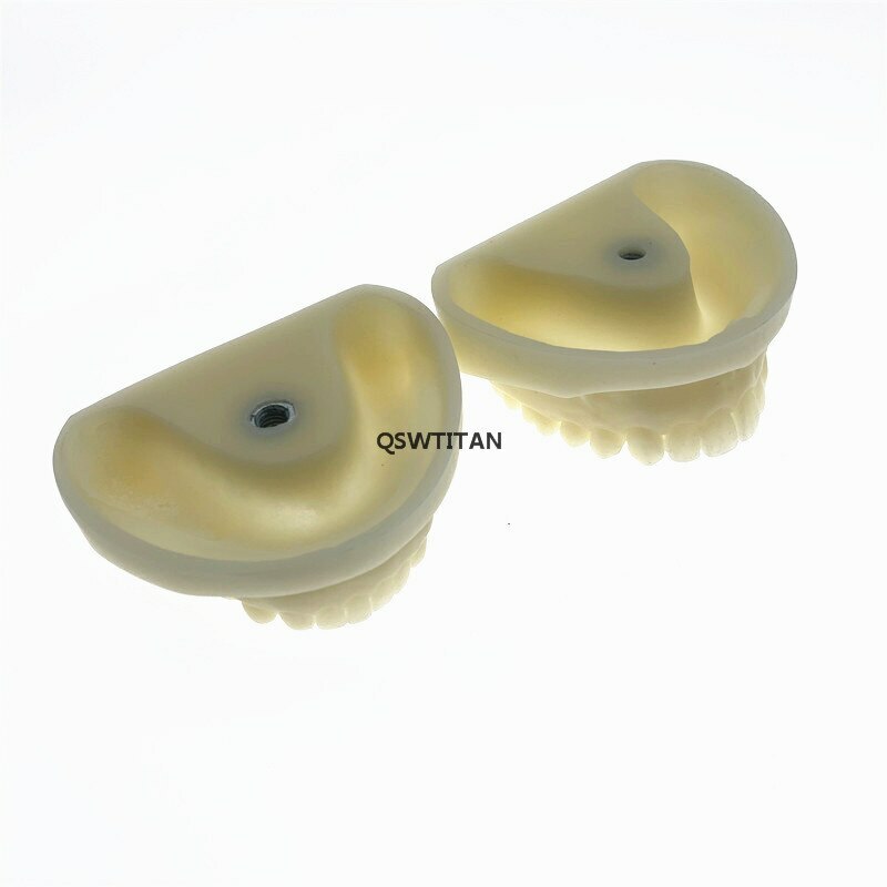 Preparation dental cast mold resin dentistry teaching model practice teeth model