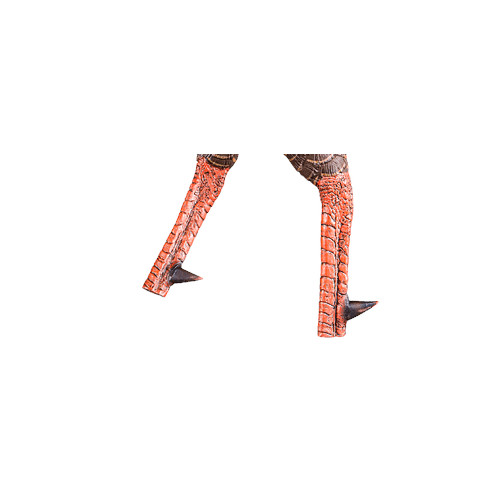 AvianX HDR Strutter Decoy