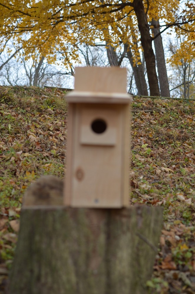 Cedar Bluebird House
