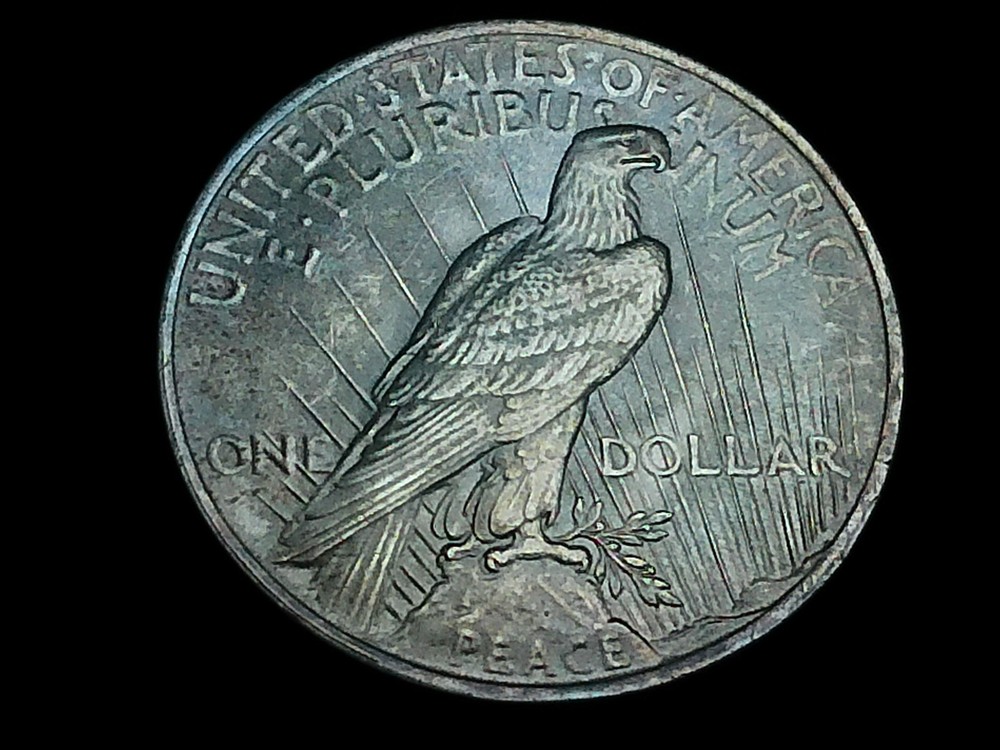 Raw 1923 Peace Silver Dollar - Philadelphia - Small Lamination Error