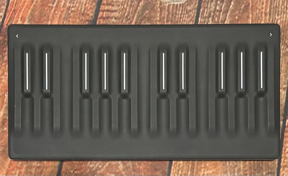 Roli Seaboard M Portable MPE MIDI Keyboard Controller - Black