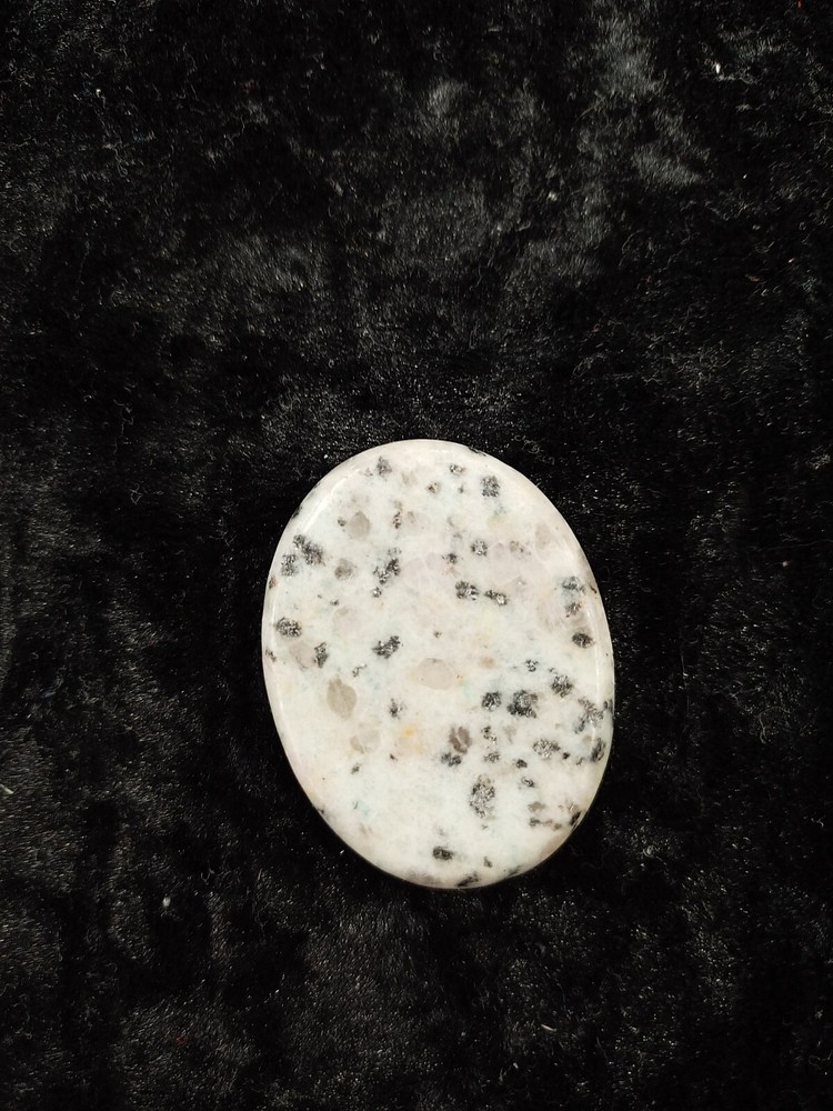 Worry Stone Kiwi Stone