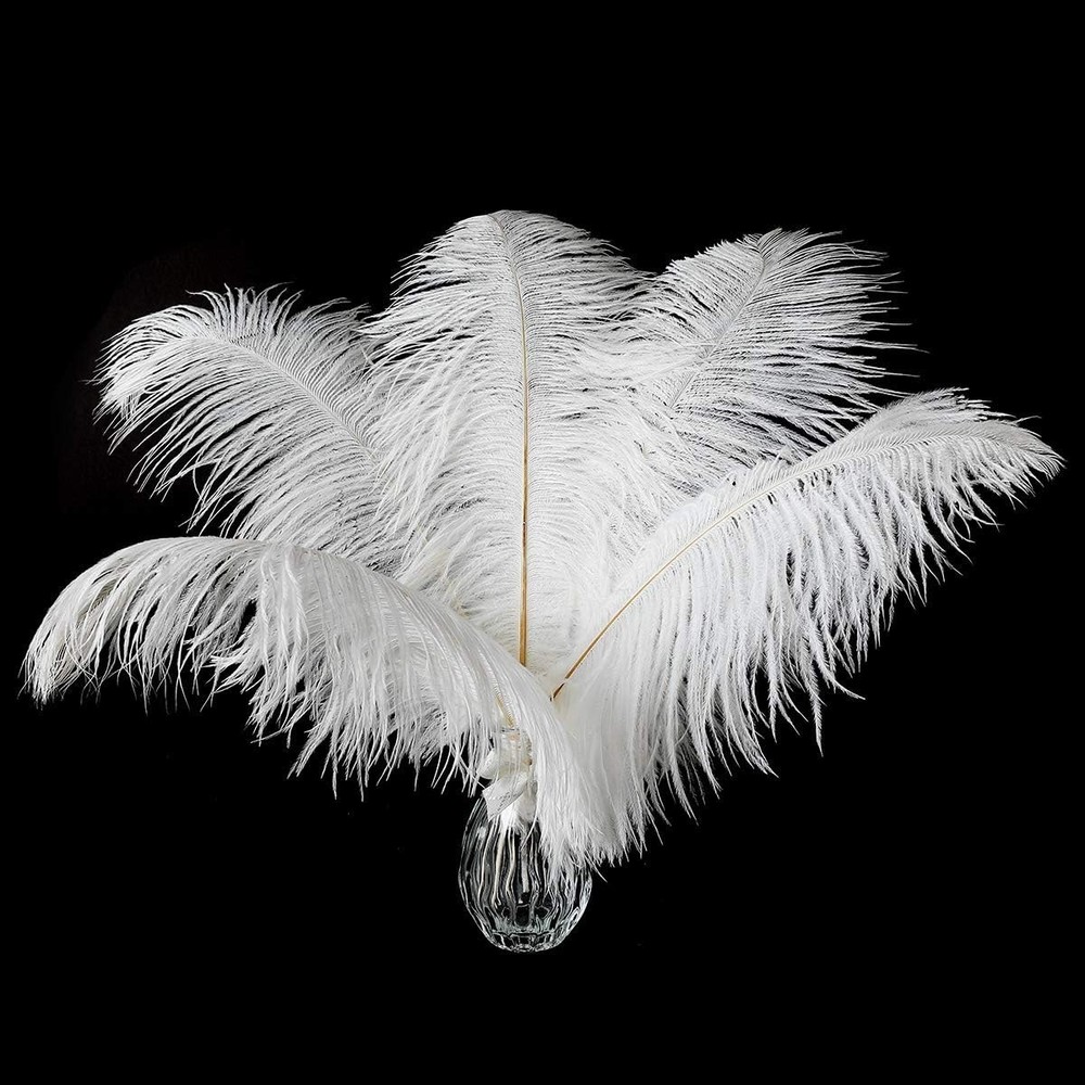 Luxurious Large White Ostrich Feathers - 24pcs for Weddings & Party Centerpieces