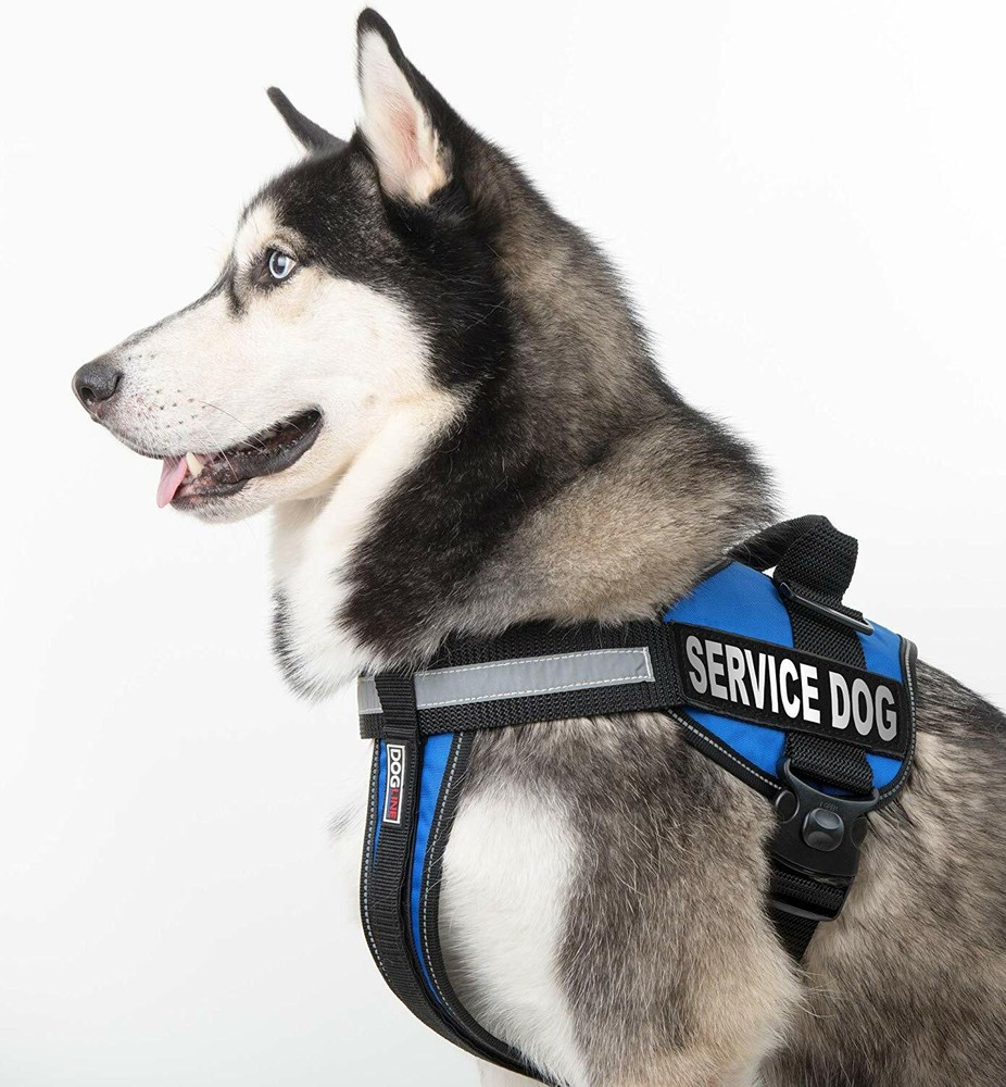 Service Dog Patch Reflective Extra Label Tag for Dog Harness Service