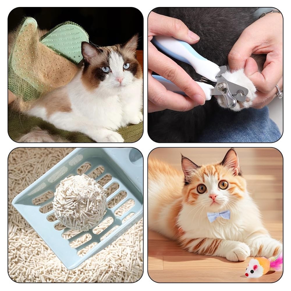 Kitten Starter Kit - 16 Pcs Cat Essentials Set Includes Litter Box, Toys, Col...