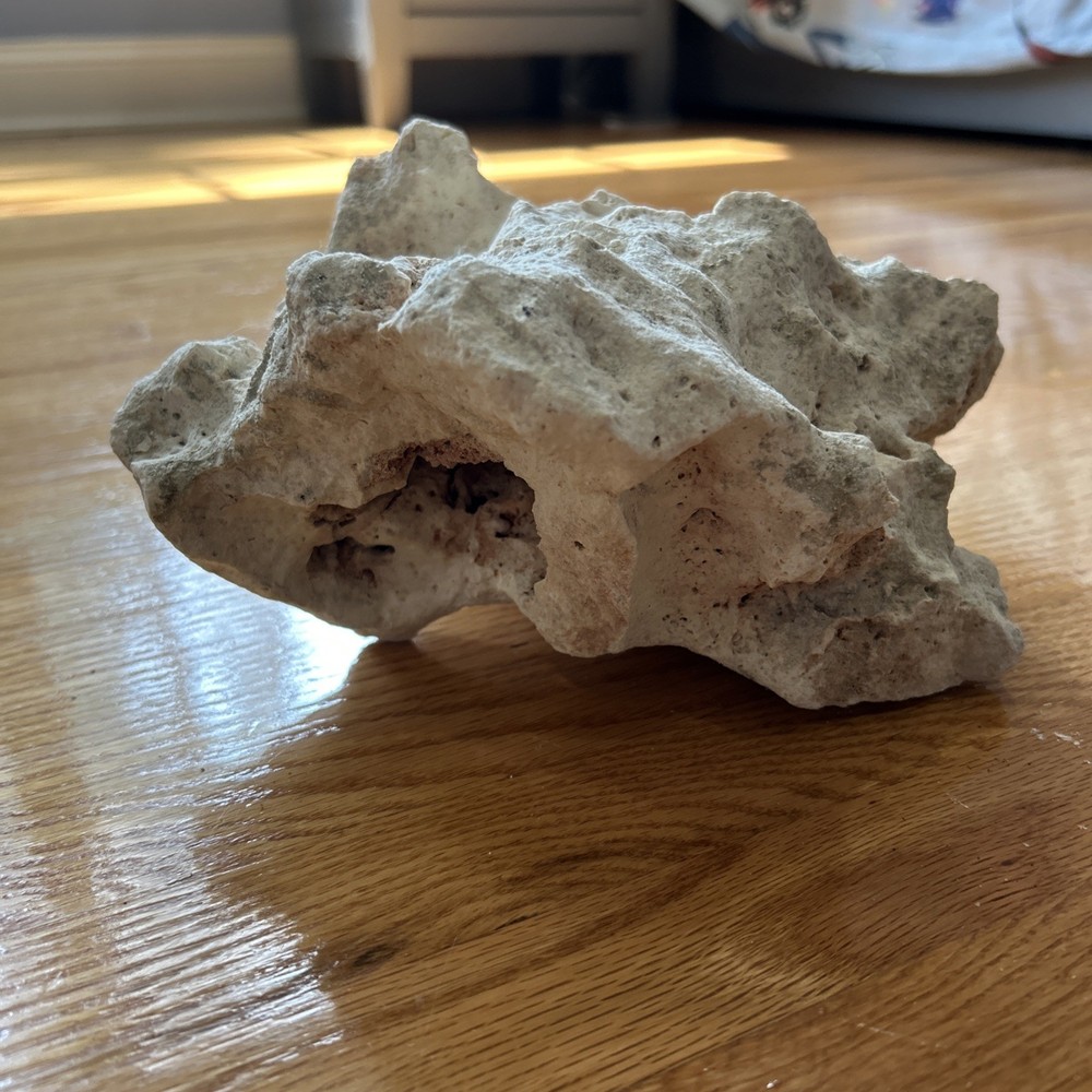 Landscaping rock for terrariums