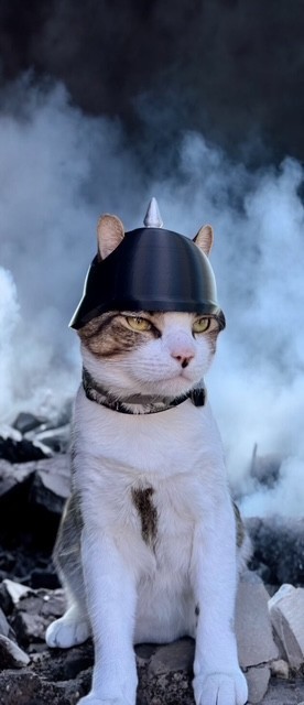 3D-Printed German Military Helmet for Cats