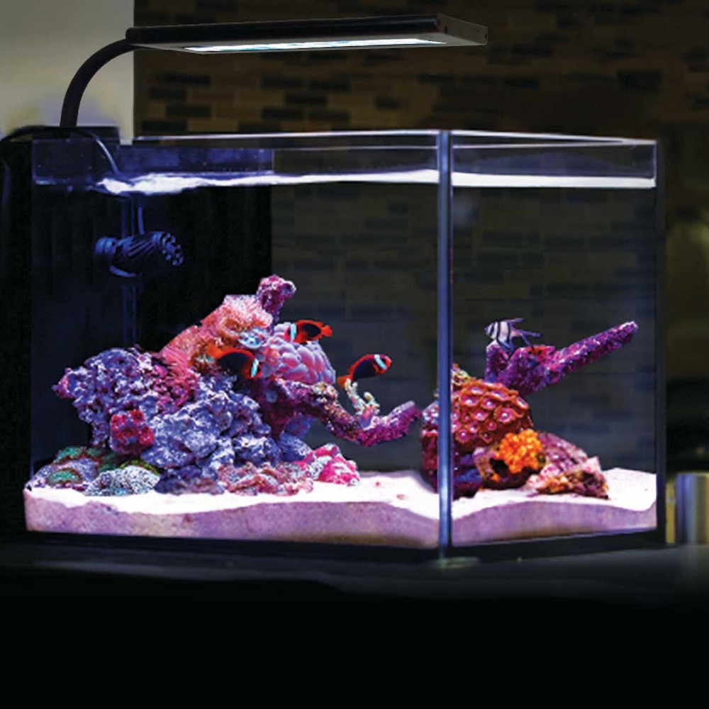 Orbit Marine NANO LED Light w/Gooseneck Mount & Dynamic Controller - Current USA