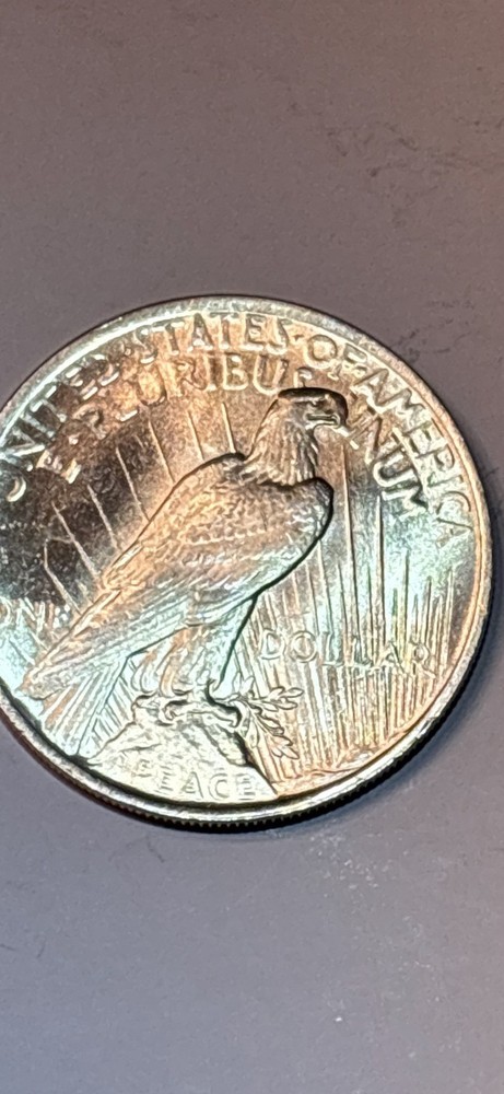 1923 Peace Dollar Brilliant Uncirculated