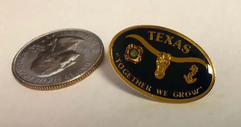 Texas Together We Grow VFW Pin