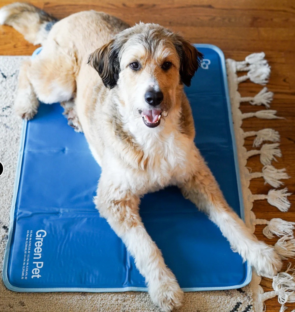 Green Pet Cool Pet Pad, Medium