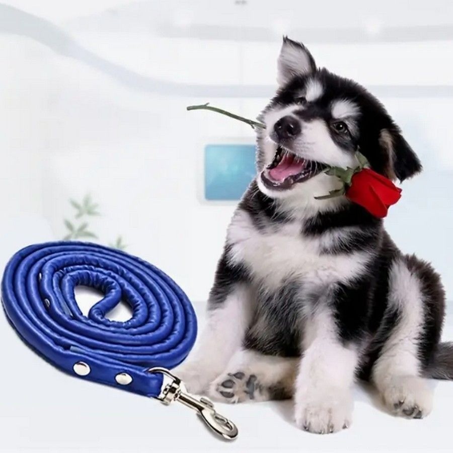 Xander Rey Dark Blue Leather Dog Leash Gift Packaged