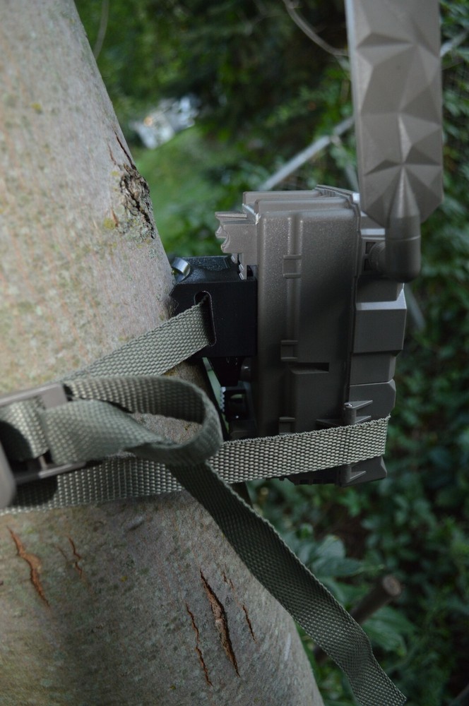 REVISED Tactacam Reveal X Angled Tree mount