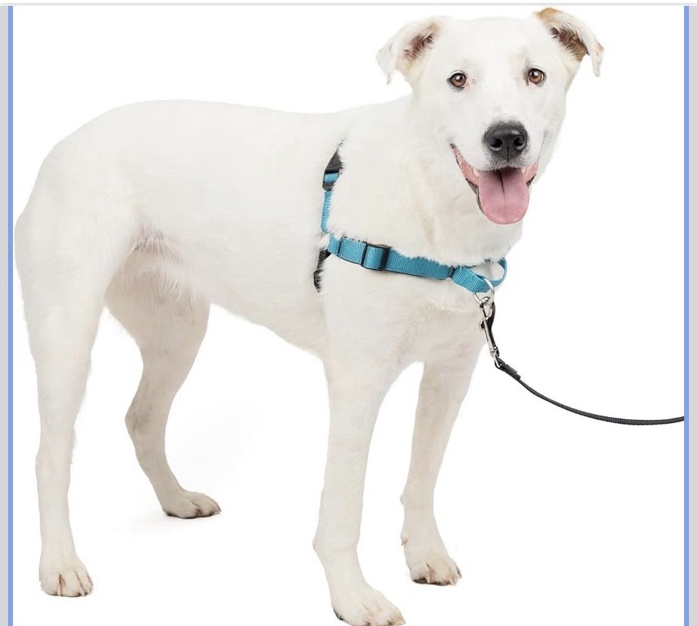PetSafe Deluxe Easy Walk Dog Harness Medium/Large No Pull Ocean Black Reflective